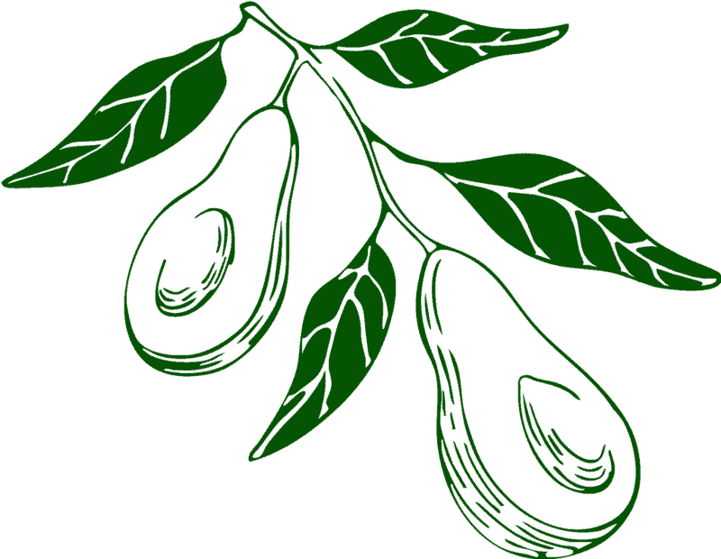 AvoJoy